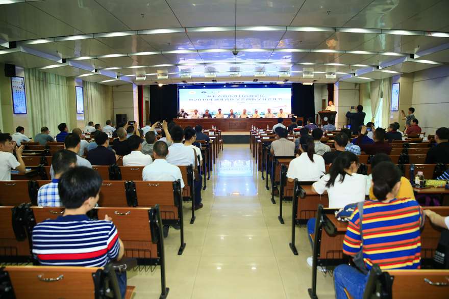 大会现场.JPG